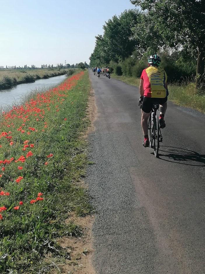 MARAIS DE BROUAGE