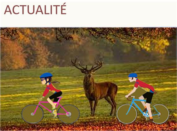 ACTUALITÉ