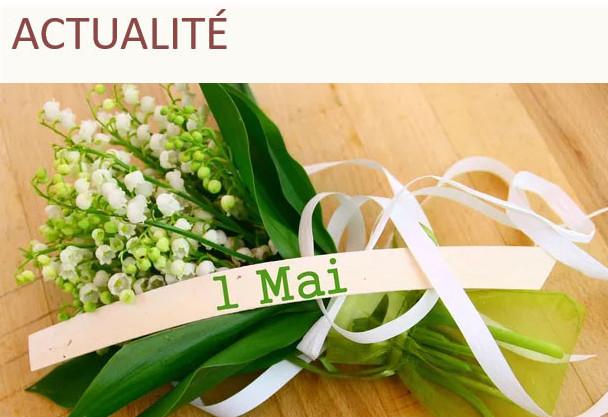 ACTUALITÉ