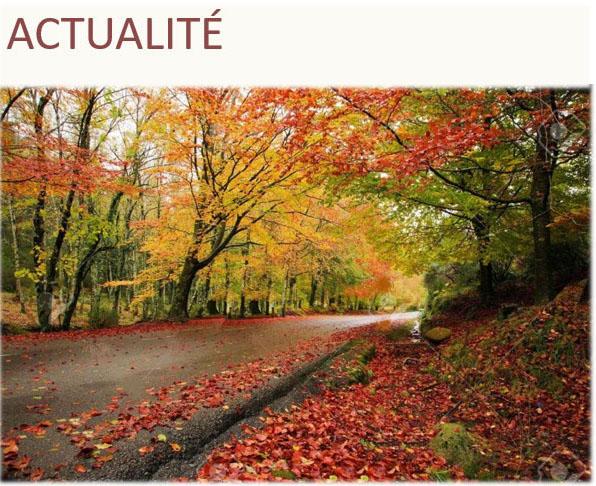 ACTUALITÉ
