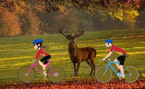 C'EST L'AUTOMNE