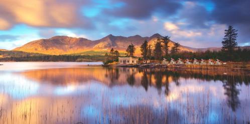 Connemara cri