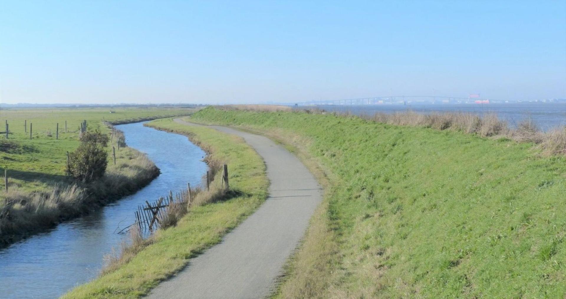 Estuaire