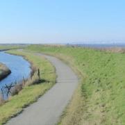 Estuaire