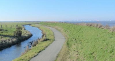 Estuaire