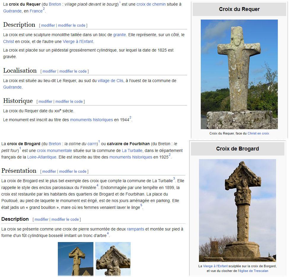 Requer brogard